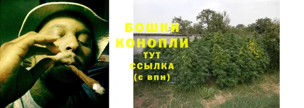 молекула духа Михайловск