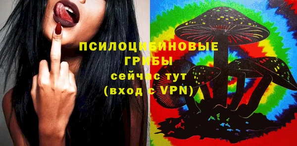 кокс Михайлов