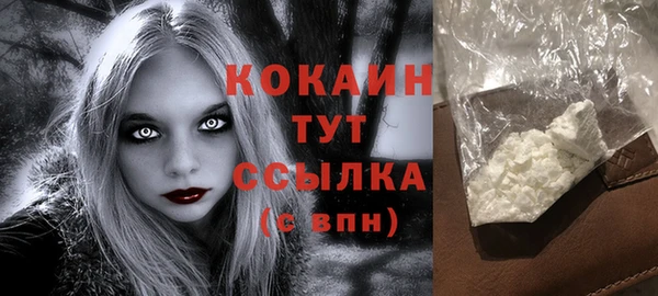 молекула духа Михайловск