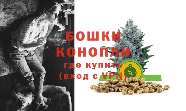 кокс Михайлов