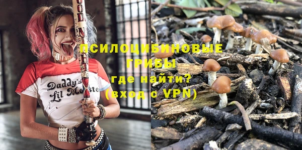 кокс Михайлов