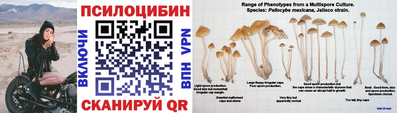 Псилоцибиновые грибы ЛСД  Купить где  Рассказово 